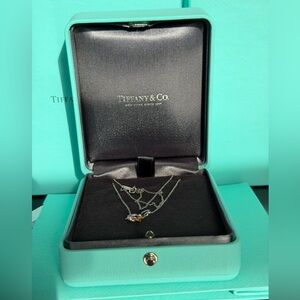 Tiffany & Co.Platinum Spessartine& Diamonds Firefly 16 inches Pendant Necklace.